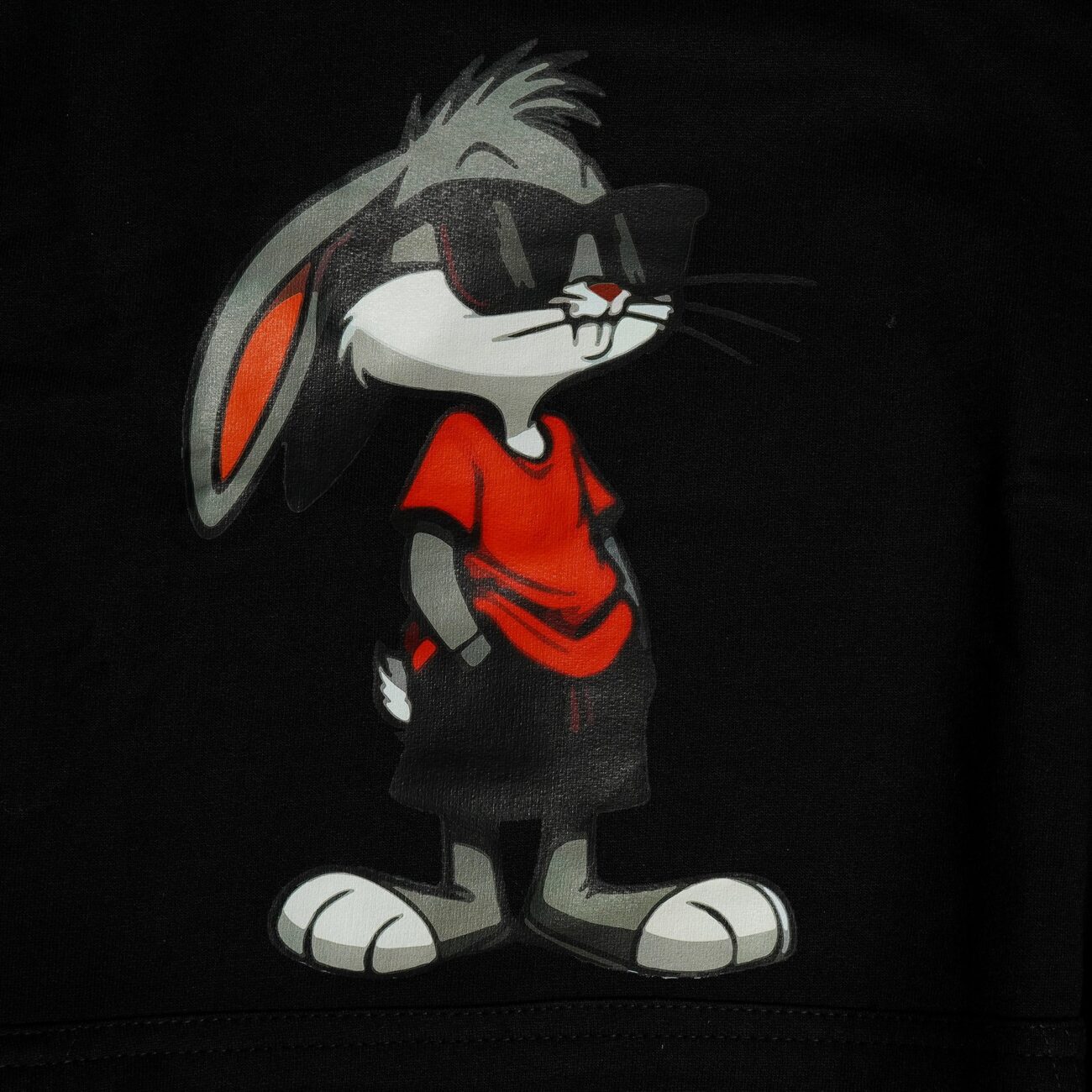 Cool Bunny - Image 4