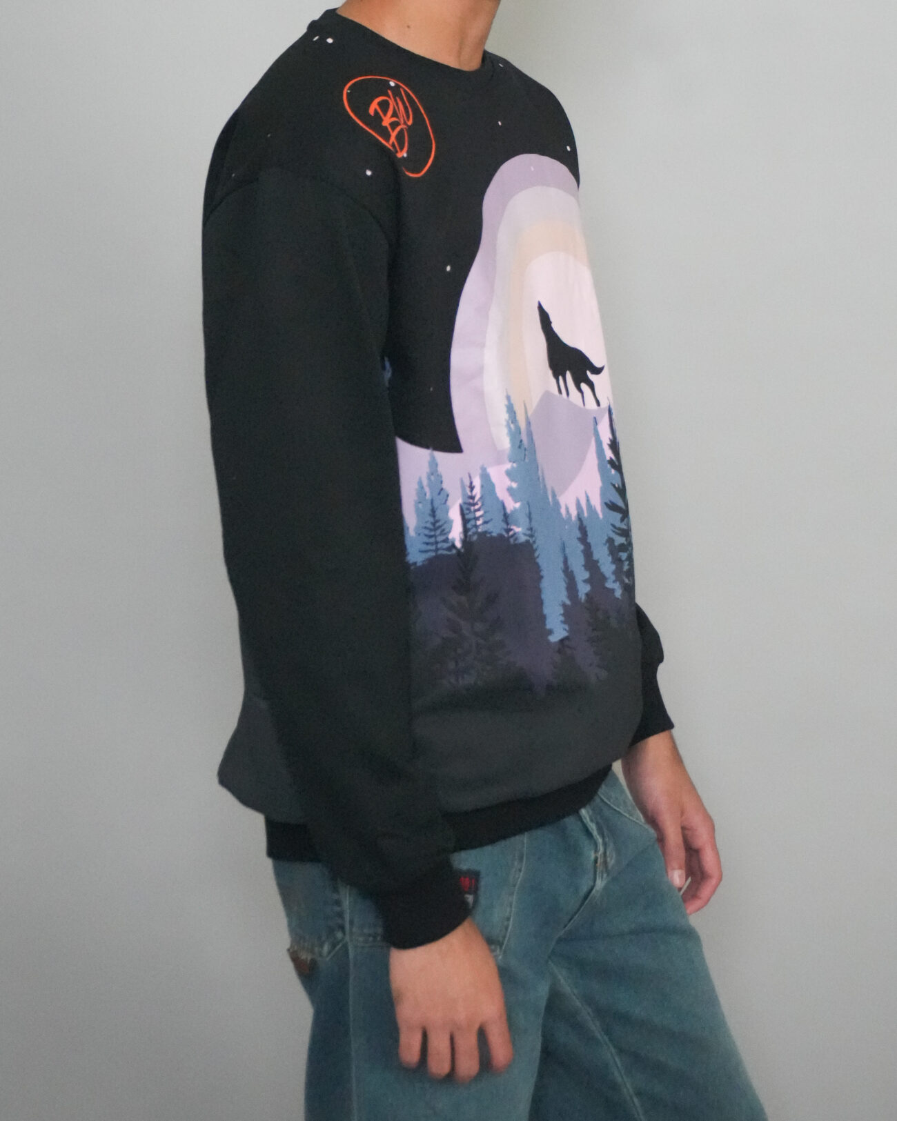 The Lone Wolf - Image 2