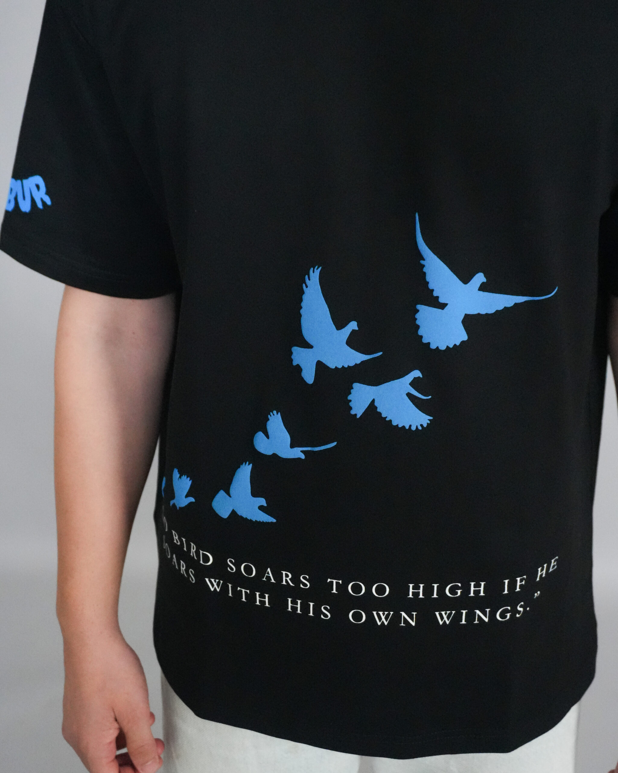 Blue Birdies - Image 5