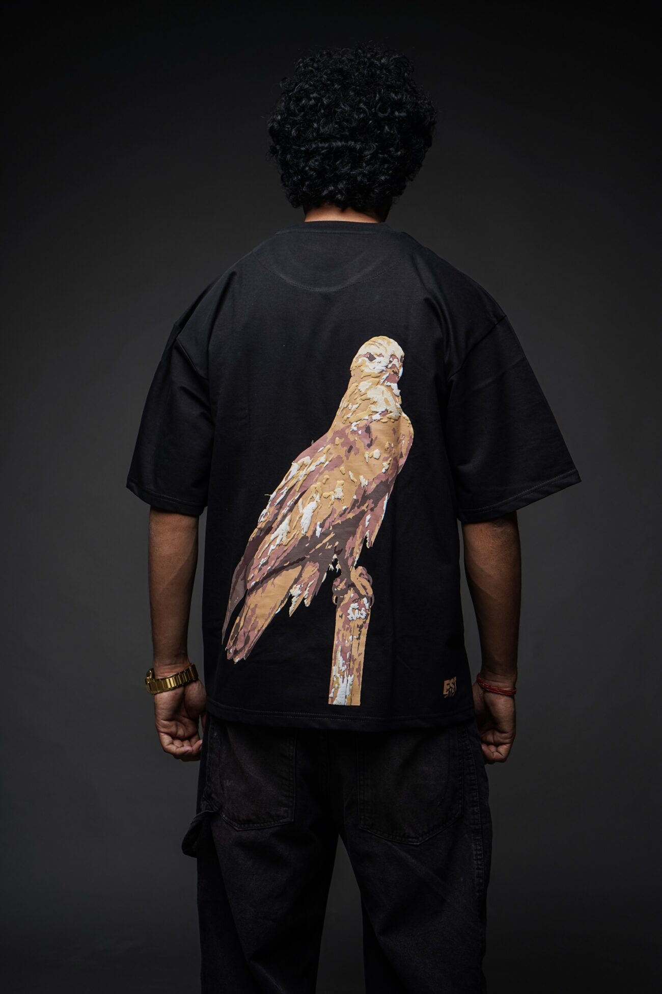 The Golden Falcon - Image 4