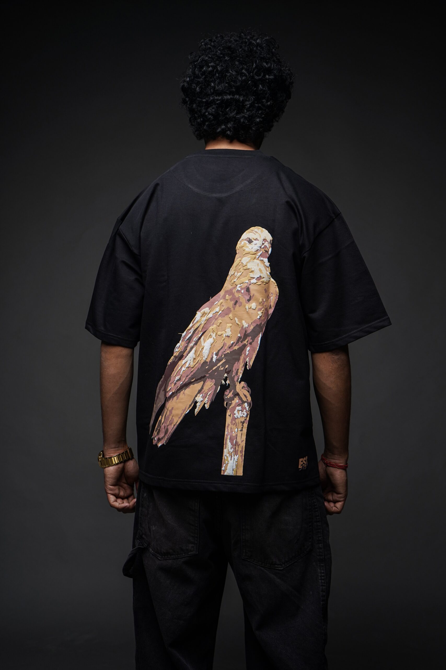 The Golden Falcon - Image 4