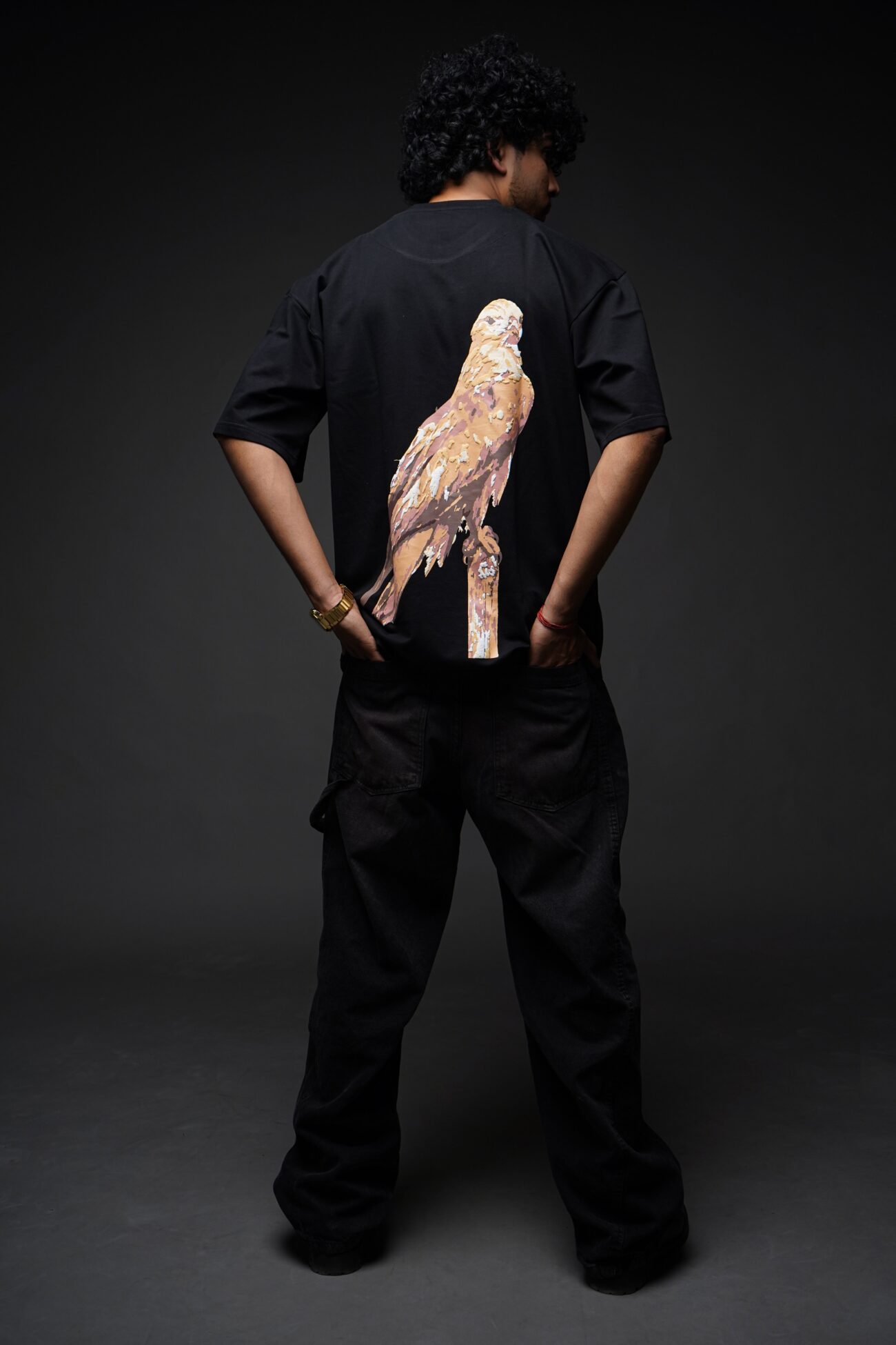 The Golden Falcon - Image 5