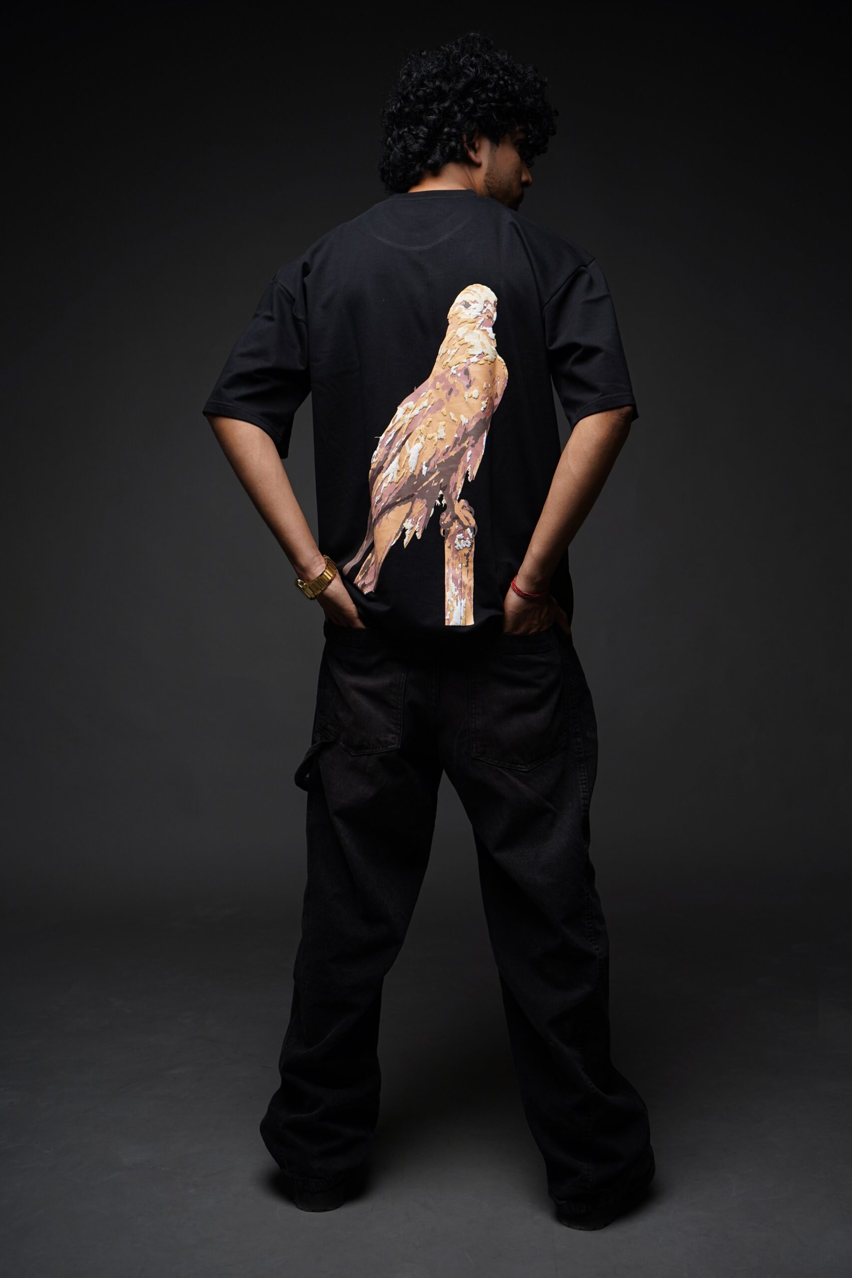 The Golden Falcon - Image 5