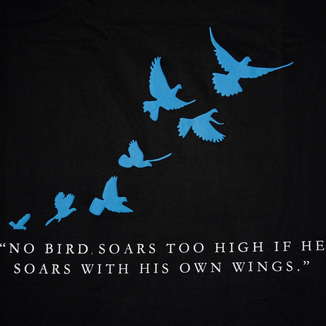 Blue Birdies - Image 4
