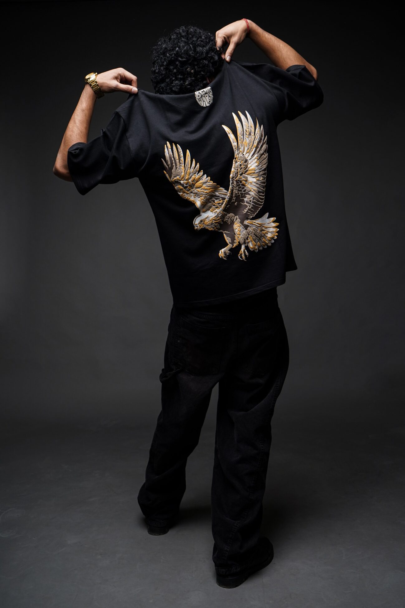 Hawk Eagle - Image 4