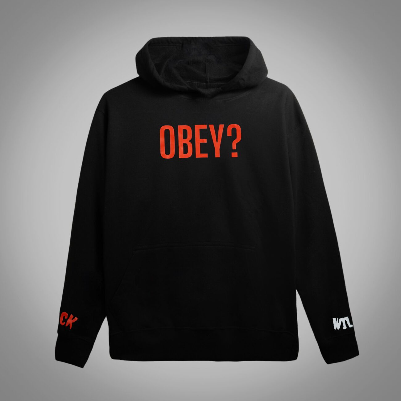 Obey to Disobey - Image 4